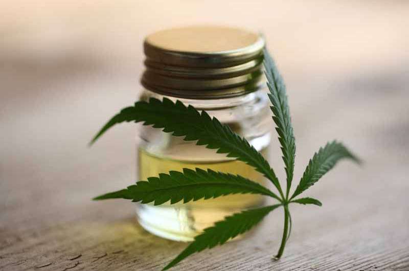 Quand est-il contre-indiqué de consommer du CBD ?